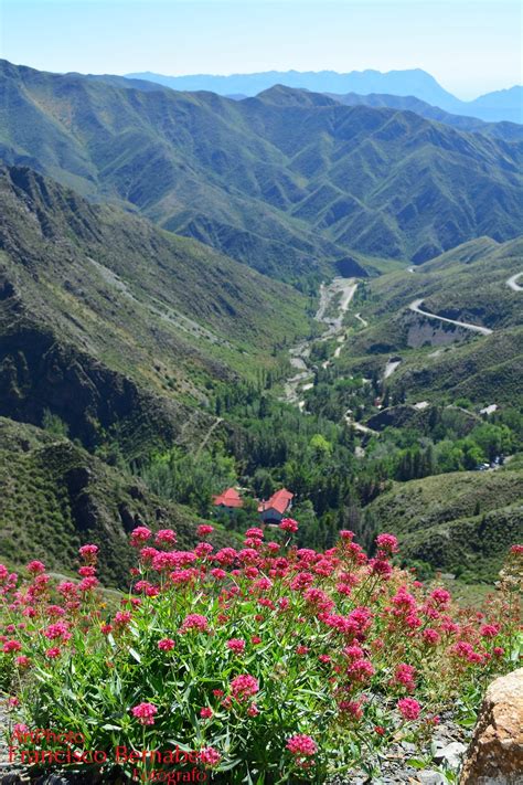 Villavicencio Natural Reserve Half Day Tour From Mendoza Mendoza