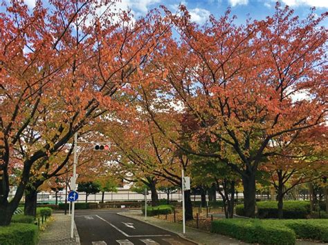 荒川区はファミリーで暮らすのにぴったりな住みやすさ！その理由とは？｜練馬区の不動産購入・売却・買取・リフォームは城北不動産株式会社