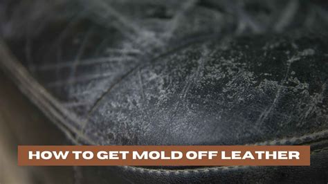 How To Get Mold Off Leather A Step By Step Guide