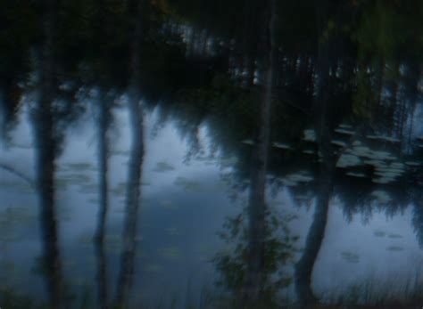 Wallpaper Reflection Nature Swamp Bayou Wetland Atmosphere Tree