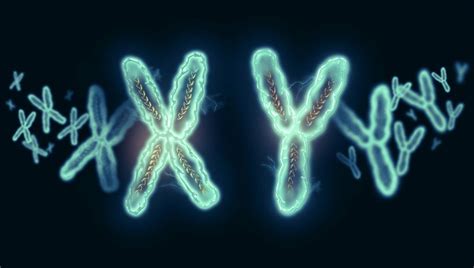 About One In Cis Men Have Extra Sex Chromosomes And That Comes With Health Risks IFLScience