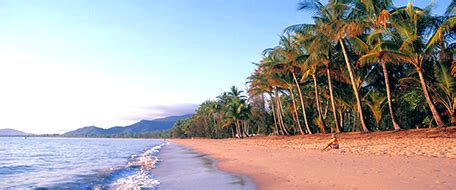 palm cove - Oz Baby Hire