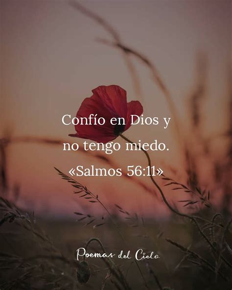 Confío En Dios Y No Tengo Miedo Salmos 5611 Frases