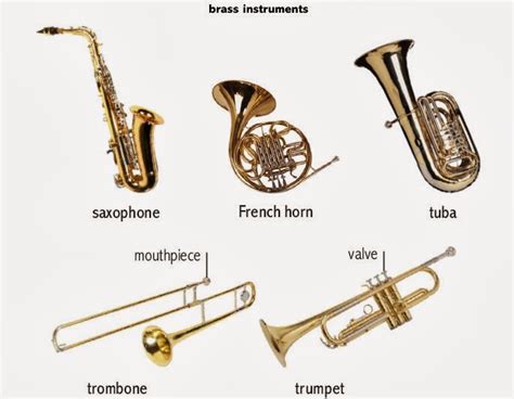 Types Of Instruments Brass At Benjamin Whittington Blog