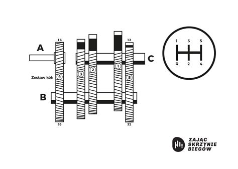 Jak Dzia A Manualna Skrzynia Bieg W Skrzyniezajac Pl