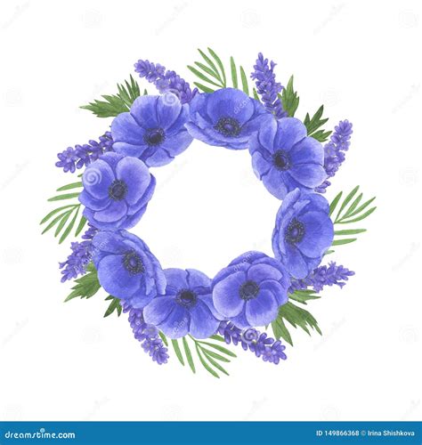 L Insieme Dell Illustrazione Dell Acquerello Dei Fiori Di Anemone Frame