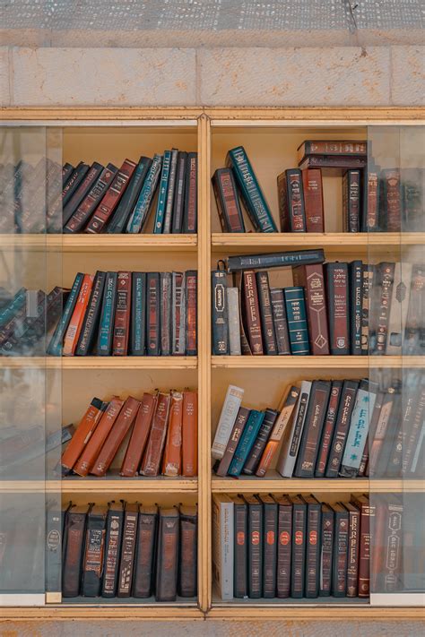 wooden, still life, abundance, title, shelf, bookshelf, brown, order ...