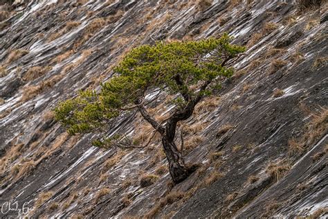 Kraft der Natur Forum für Naturfotografen