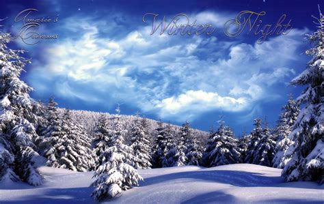 Second Life Marketplace - Backdrop ~Winter Night~