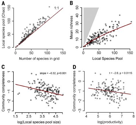 Response To Comment On Worldwide Evidence Of A Unimodal Relationship