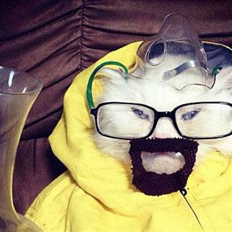 Stream Head Horny S DJ Miguel Serna Fire By Luteri Listen Online For Free On SoundCloud