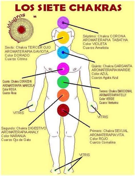 Los Chakras Y Sus Funciones Chakras Limpieza De Chakras Blog De Libros