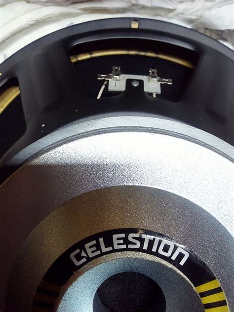 Celestion Bl X Speaker Reverb