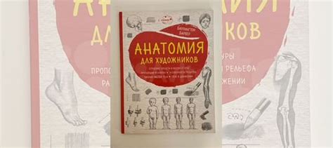 Продаю Анатомия для художников Баррингтон Барбер Небольшая... купить в ...