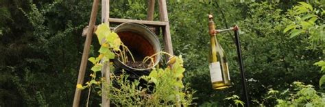 Необычный сад — необычный декор | Roslyny.com