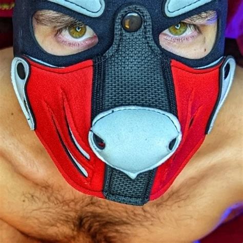 Machine Gaping Pup S Hole Gay Amateur Amateur Porn Feat Pup Nico