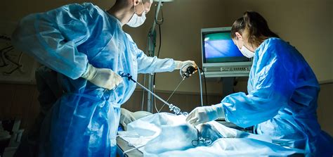 Laparoscopic Hysterectomy: Gentle Women's Health Care | Hake Hospital 