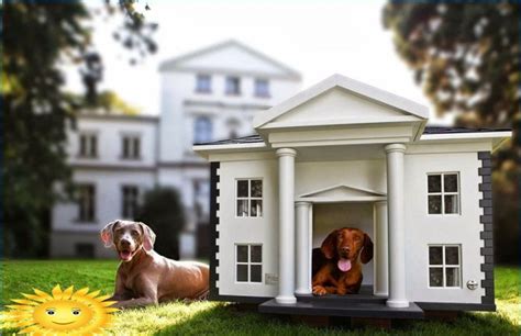 Cabines Et Maisons Pour Chiens