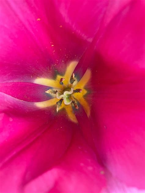 These words really spoke to me. Thank you. - NO AI!! Hermione Wilds