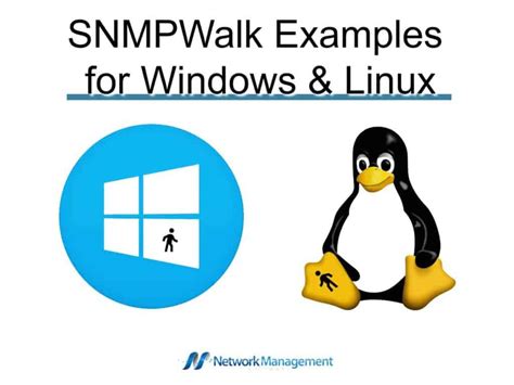 Snmpwalk Examples For Windows And Linux For 2023 With Commands