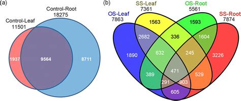 Venn diagram of common and specific lncRNAs. a The number of ... 