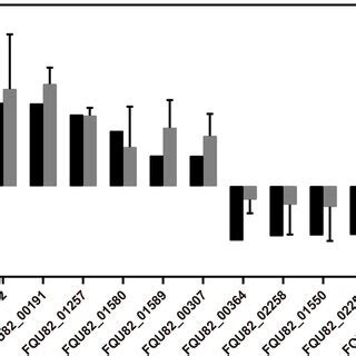 Validation Of Rna Sequencing Using The Real Time Qpcr Four Individual