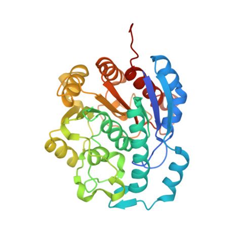 Rcsb Pdb Iu Crystal Structure Of Leishmania Mexicana Arginase In