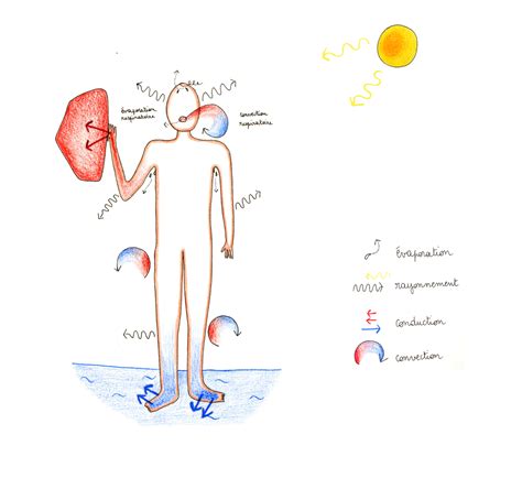 Confort Thermique Lucile Sauzet