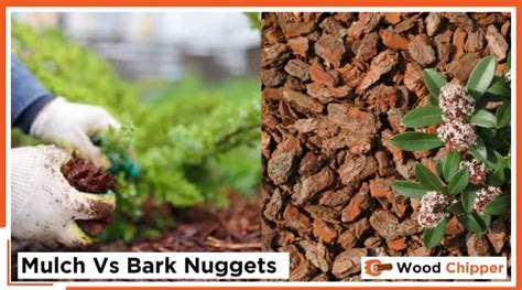 Mulch Vs Bark Nuggets Inside Wood Chipper