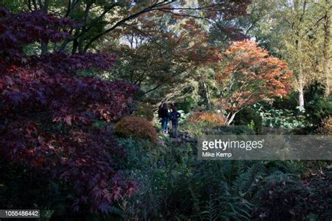 Edgbaston House Photos And Premium High Res Pictures Getty Images