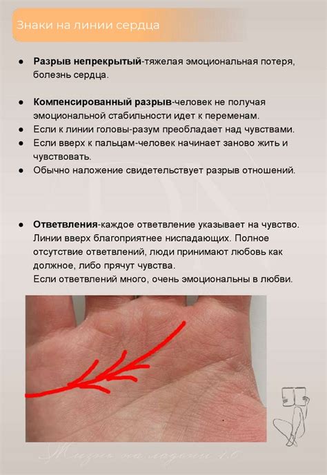Линия сердца - презентация онлайн