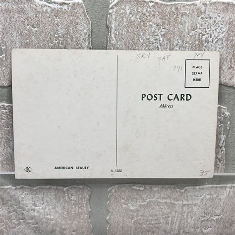 Vintage American Beach Beauty Postcard Pin Up Girl Sexy Risque Brunette Ebay