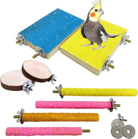 Amazon Pcs Bird Perch Stand Toy Wood Parrot Stand Platform