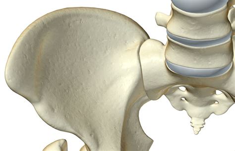 Sacroiliac Joint Type and Classification