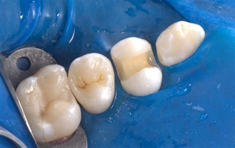 All Dental/Вся Стоматология 2024 | ВКонтакте