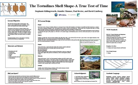 Lesson Plan Poster: The Testudine Shell Shape – A True Test of Time | myFOSSIL