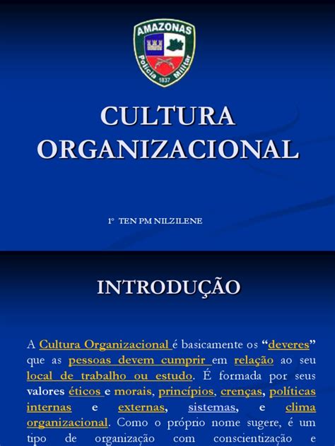 Cultura Organizacional Aula 01 1º Ten Pm Nilzilene Pdf Cultura