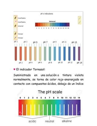 El Ph Flori PDF