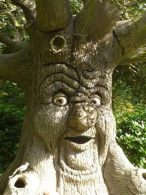 Tree Facefacetreespeakingfairy Tales Free Image From