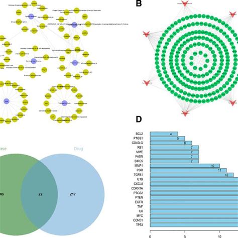 A Kyzyt Drug Component Network Diagram B Kyzyt Drug Target Network