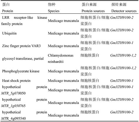 一种利用生物膜干涉技术鉴定植物基因组核苷酸元件序列互作蛋白和核苷酸的方法