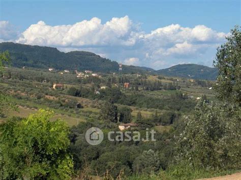 Rustici Casali In Vendita A Capannori In Zona Tofori Casa It