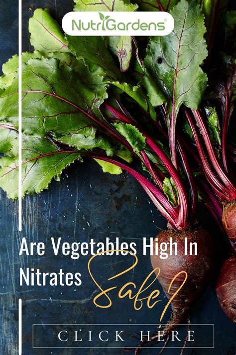 Are vegetables high in nitrates safe – Artofit