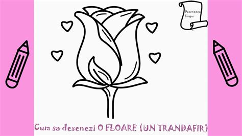 Cum Sa Desenezi O FLOARE UN TRANDAFIR Deseneaza Singur Invata