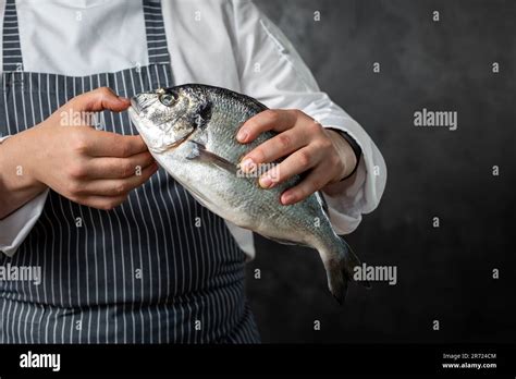 Crop Anonymous Male Fishmonger In Striped Apron Holding Fresh Uncooked