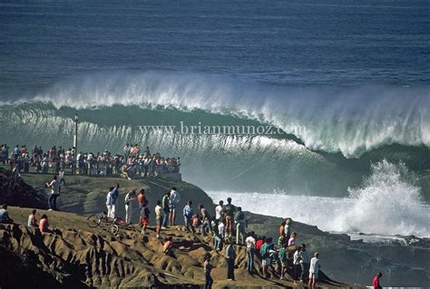 La Jolla Photos North South Bird Big Waves Cove Casa Pool Wind