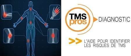 Tms Pros Diagnostic Une Aide Pour Former Et Mettre En Place Un Plan D