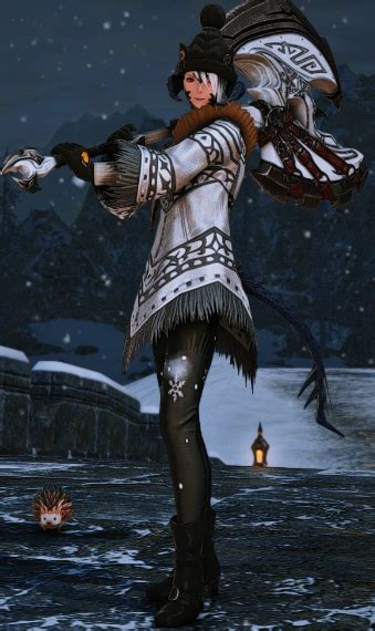 Adventure winter outfit | Eorzea Collection