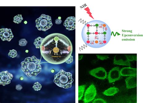 化学与分子科学学院张敬来教授团队在Angew Chem Int Ed 等期刊发表系列研究进展 河南大学新闻网