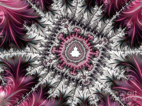 Silver Fractal Square Digital Art by Elisabeth Lucas - Fine Art America